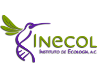 Inicio Sitio INECOL